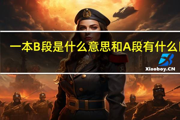 一本B段是什么意思 和A段有什么区别