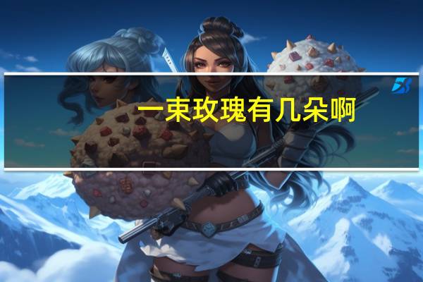 一束玫瑰有几朵啊