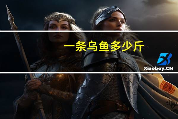 一条乌鱼多少斤