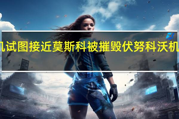 一架无人机试图接近莫斯科被摧毁 伏努科沃机场暂停起降航班