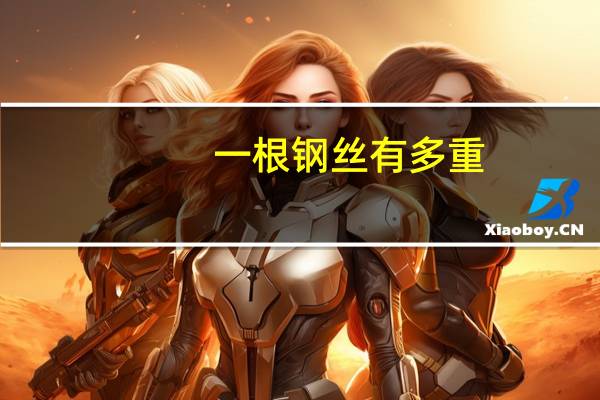 一根钢丝有多重
