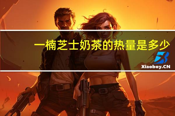 一楠 芝士奶茶的热量是多少