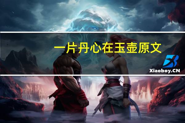 一片丹心在玉壶原文