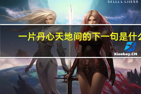 一片丹心天地间的下一句是什么