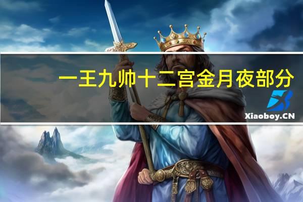 一王九帅十二宫金月夜部分（一王九帅十二宫）