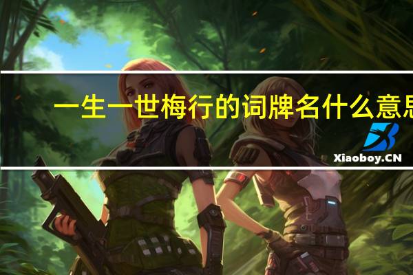 一生一世梅行的词牌名什么意思