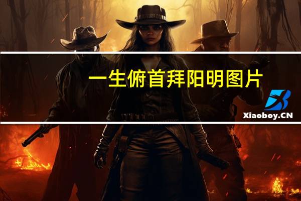 一生俯首拜阳明图片（一生俯首拜阳明）