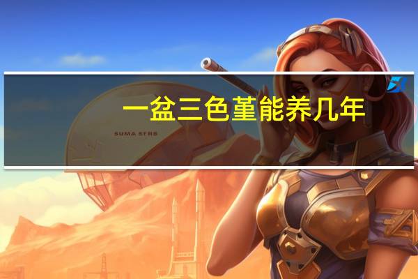 一盆三色堇能养几年