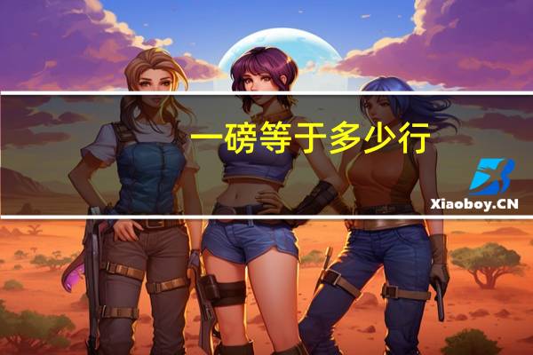 一磅等于多少行
