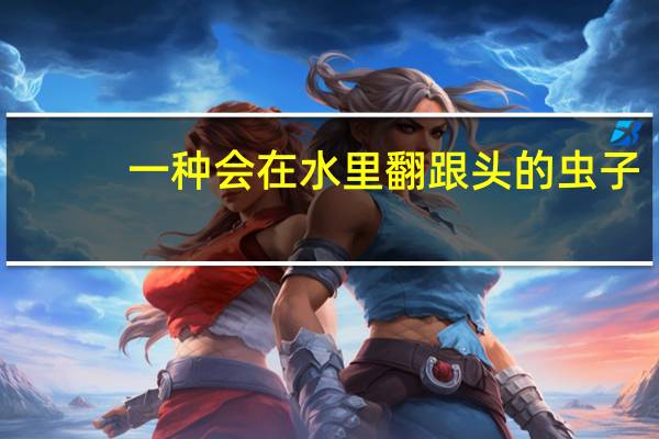 一种会在水里翻跟头的虫子