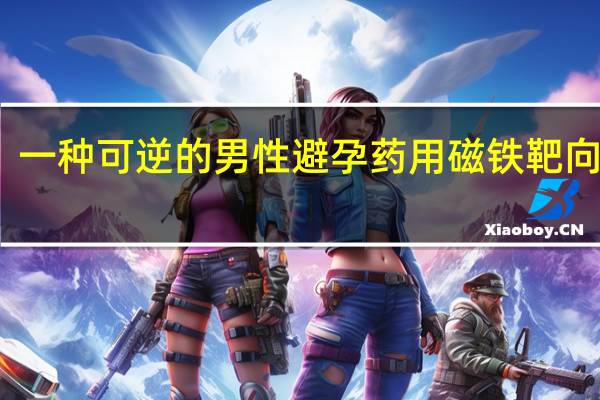 一种可逆的男性避孕药用磁铁靶向睾丸