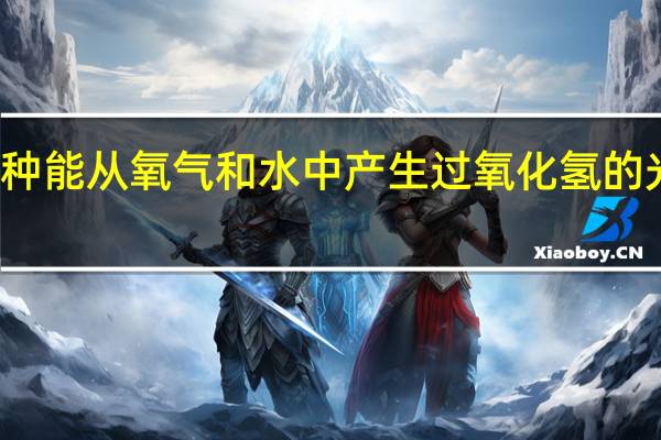 一种能从氧气和水中产生过氧化氢的光催化剂