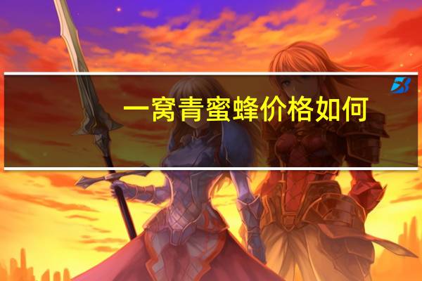 一窝青蜜蜂价格如何