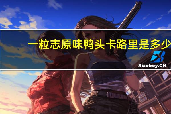 一粒志 原味鸭头卡路里是多少
