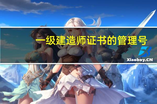 一级建造师证书的管理号（一级建造师证书的含金量）