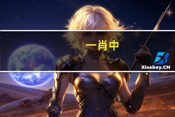 一肖中,计较精选解释落实_HD21.38.29