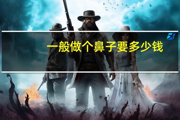 一般做个鼻子要多少钱,整鼻多少钱