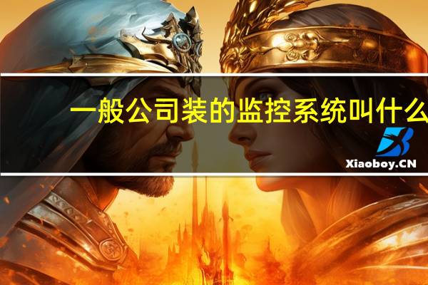 一般公司装的监控系统叫什么