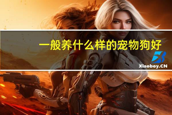 一般养什么样的宠物狗好