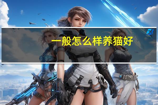 一般怎么样养猫好