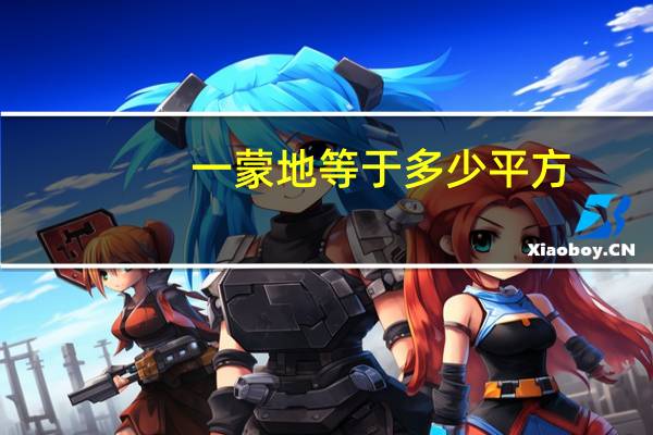 一蒙地等于多少平方