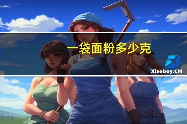一袋面粉多少克