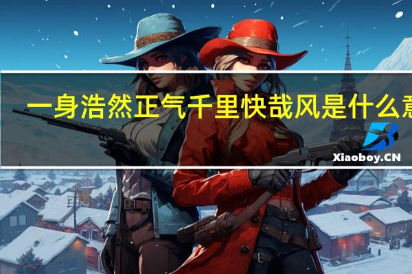 一身浩然正气千里快哉风是什么意思