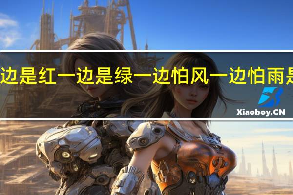 一边是红一边是绿一边怕风一边怕雨是什么字