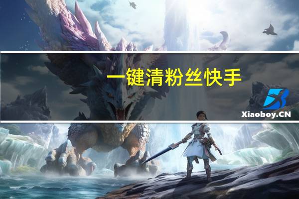 一键清粉丝快手 - 卡盟自动下单平台