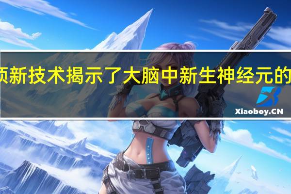 一项新技术揭示了大脑中新生神经元的遗传起源