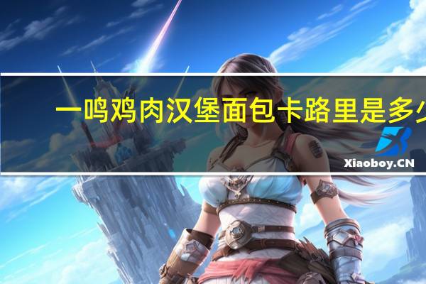 一鸣 鸡肉汉堡面包卡路里是多少
