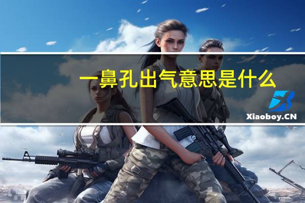 一鼻孔出气意思是什么
