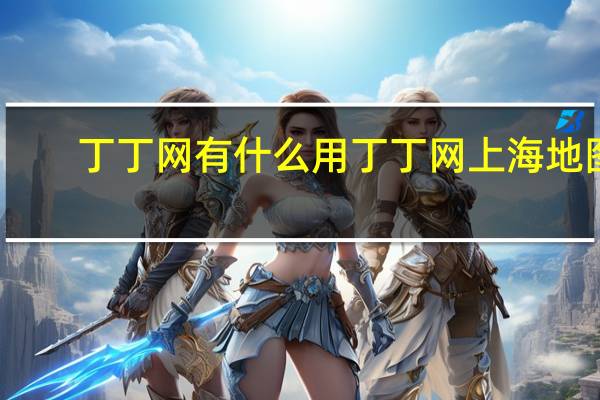 丁丁网有什么用 丁丁网上海地图