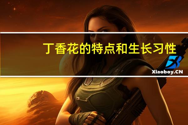 丁香花的特点和生长习性