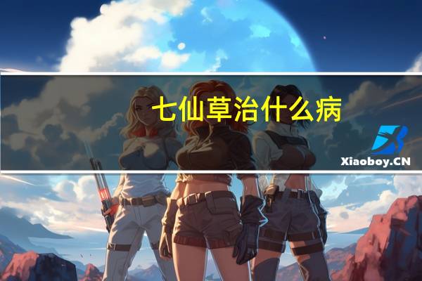 七仙草治什么病（七仙草）