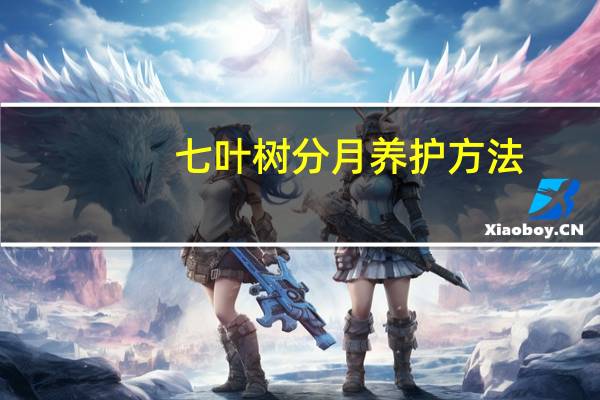 七叶树分月养护方法