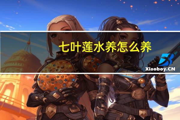 七叶莲水养怎么养