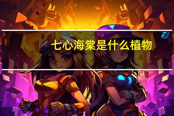 七心海棠是什么植物（七芯海棠）
