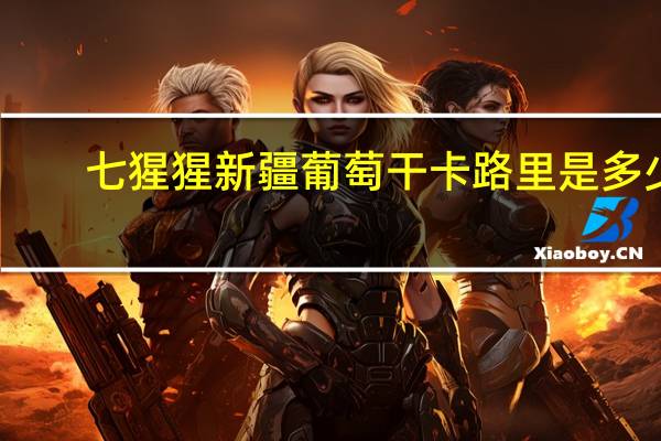 七猩猩 新疆葡萄干卡路里是多少