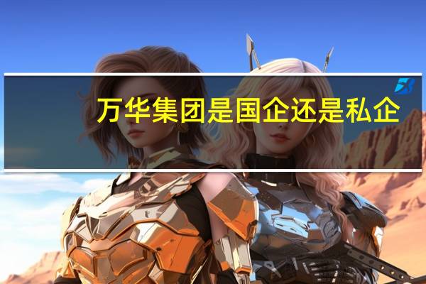 万华集团是国企还是私企