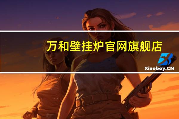 万和壁挂炉官网旗舰店（万和壁挂炉官网）