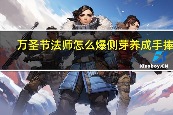 万圣节法师怎么爆侧芽养成手捧花