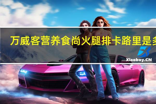 万威客 营养食尚火腿排卡路里是多少