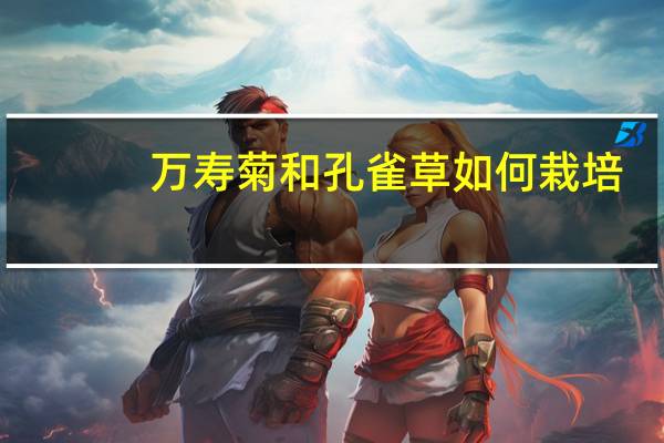 万寿菊和孔雀草如何栽培