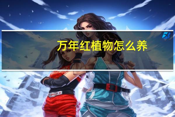 万年红植物怎么养
