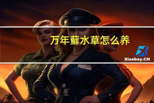 万年藓水草怎么养