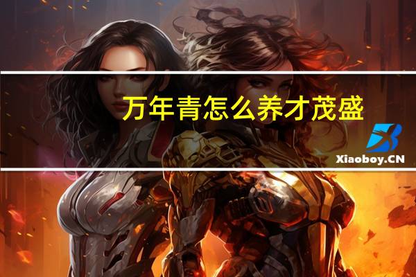 万年青怎么养才茂盛