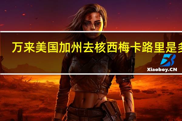 万来美国加州去核西梅卡路里是多少