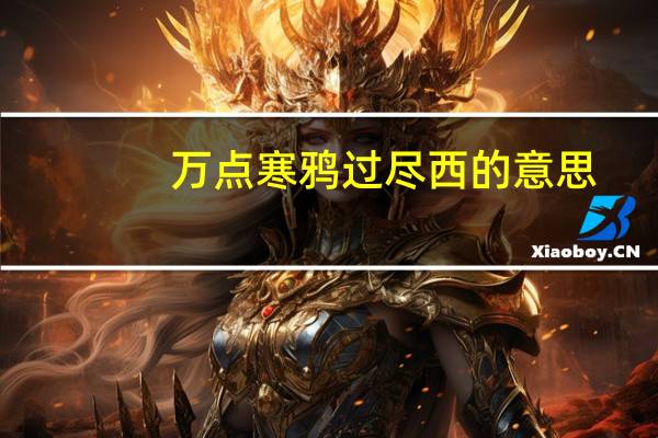 万点寒鸦过尽西的意思