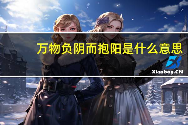万物负阴而抱阳是什么意思